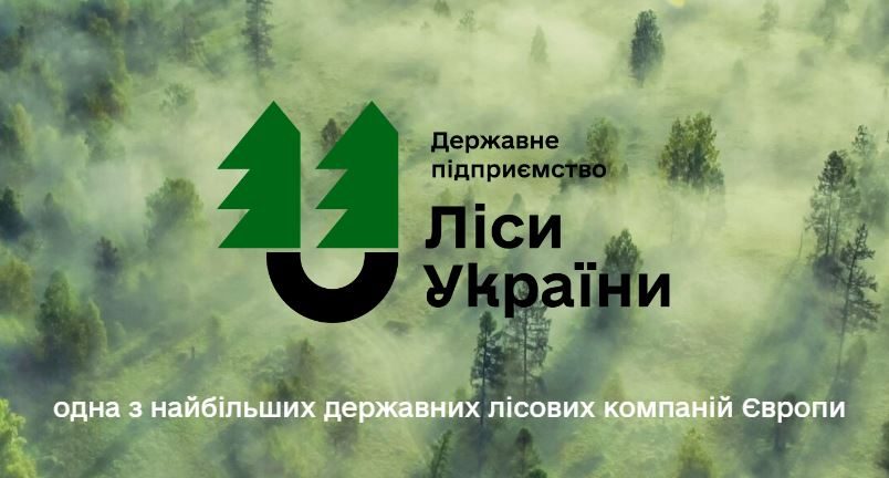 Ветеранів у Мостиськах запрошують на роботу в «Ліси України»
