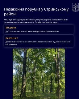 Стрийська міська рада сплатила 3 млн грн за вирубку дерев
