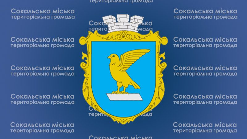 У Сокалі проведуть земельні торги у формі електронного аукціону