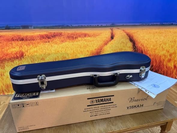 Моршинська школа мистецтв отримала скрипку Yamaha