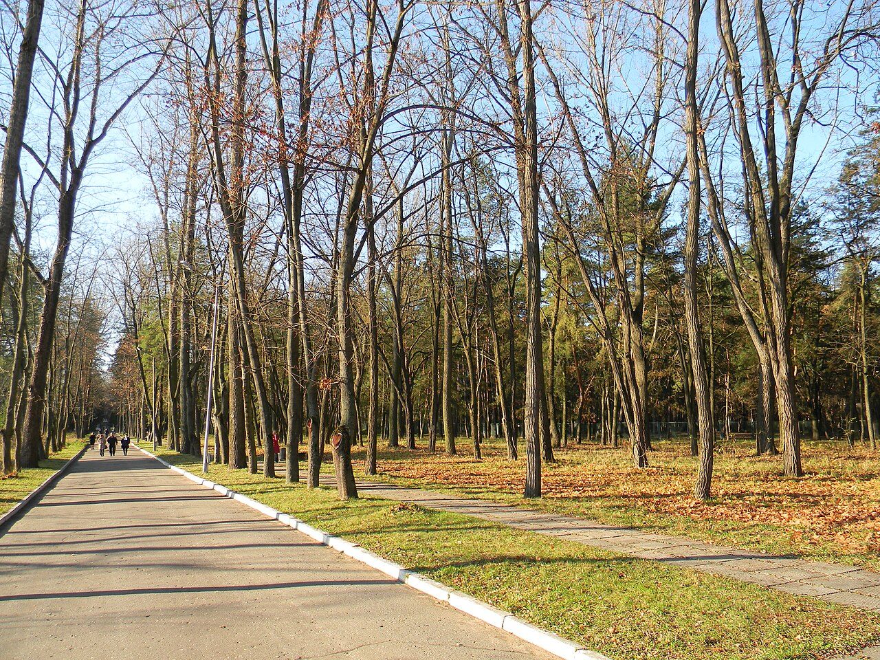 Курорт Шкло