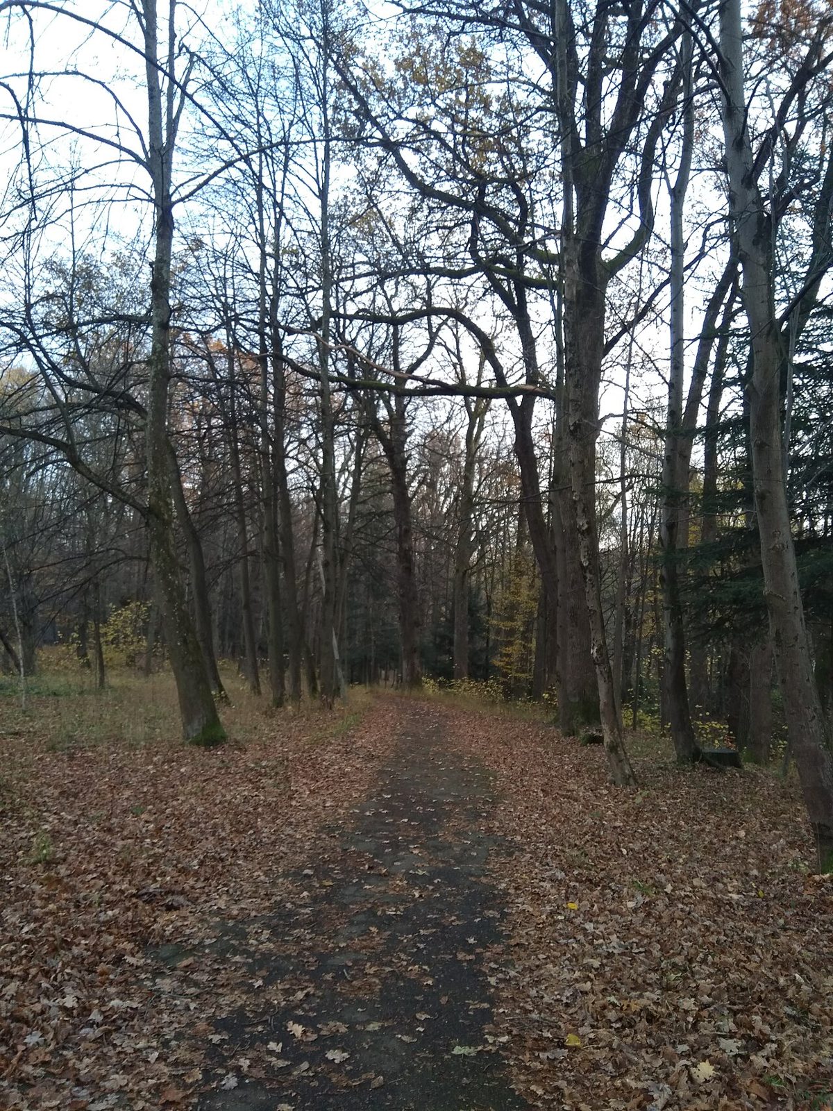 Курортний парк