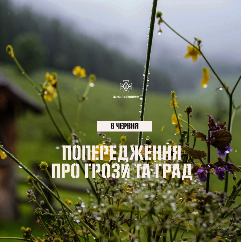 За інформацією Львівського регіонального центру з гідрометеорології, 6...