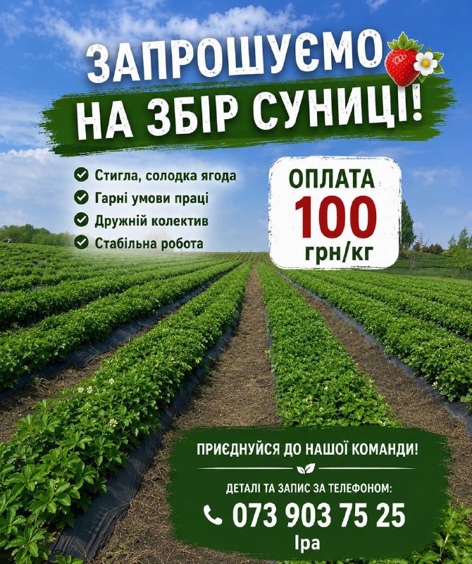 🍓ЗАПРОШУЄМО НА ЗБІР СУНИЦІПочаток активного сезону вже з...