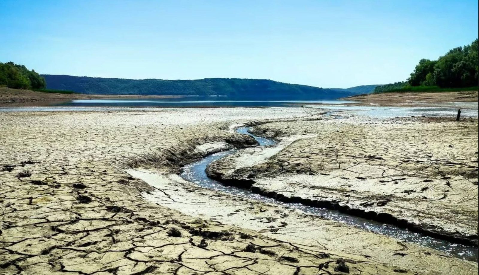 На Стрийщині низький рівень води у річках